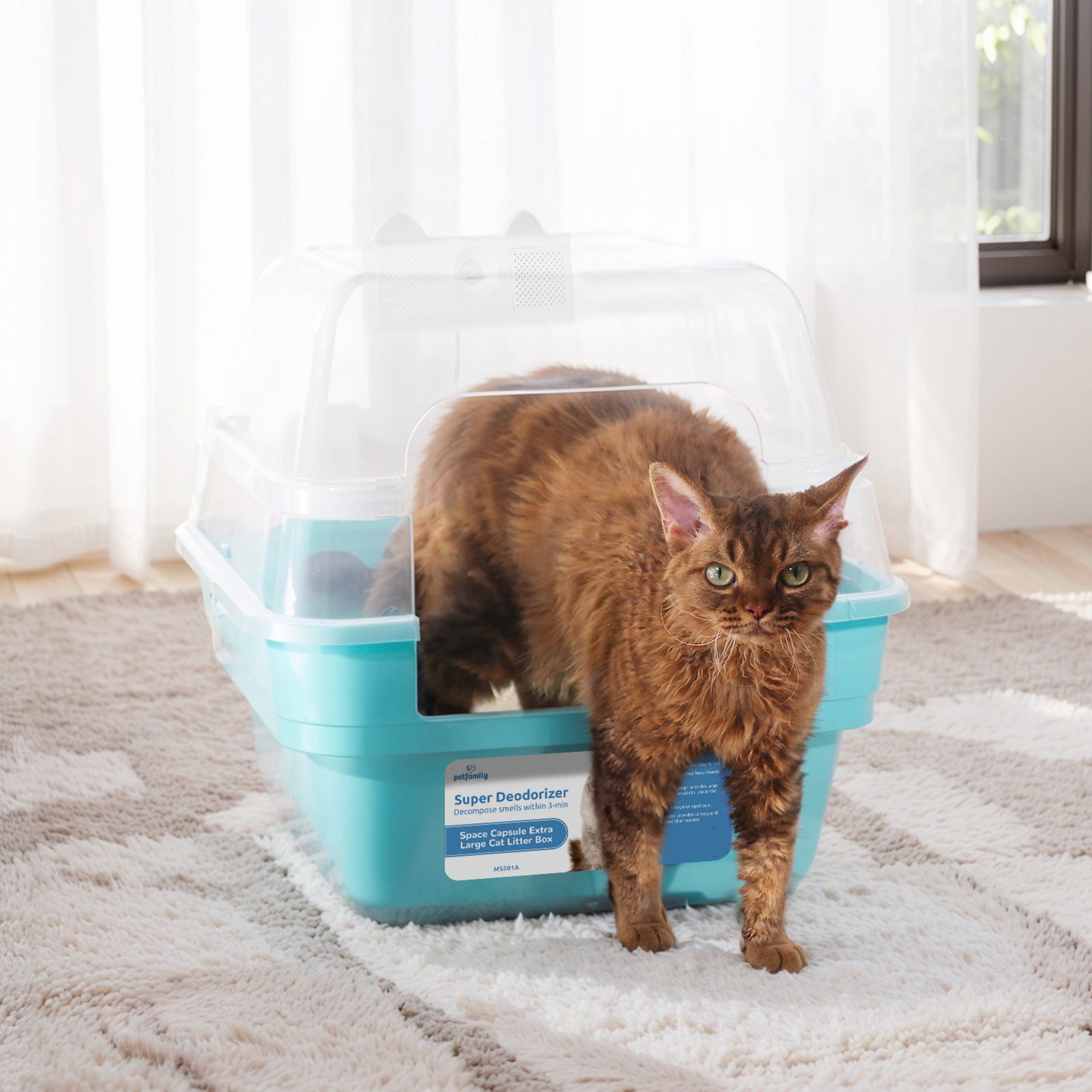 Deodorizing Cat Litter Box - Get Fresh Air in 10 Mins for 24/7