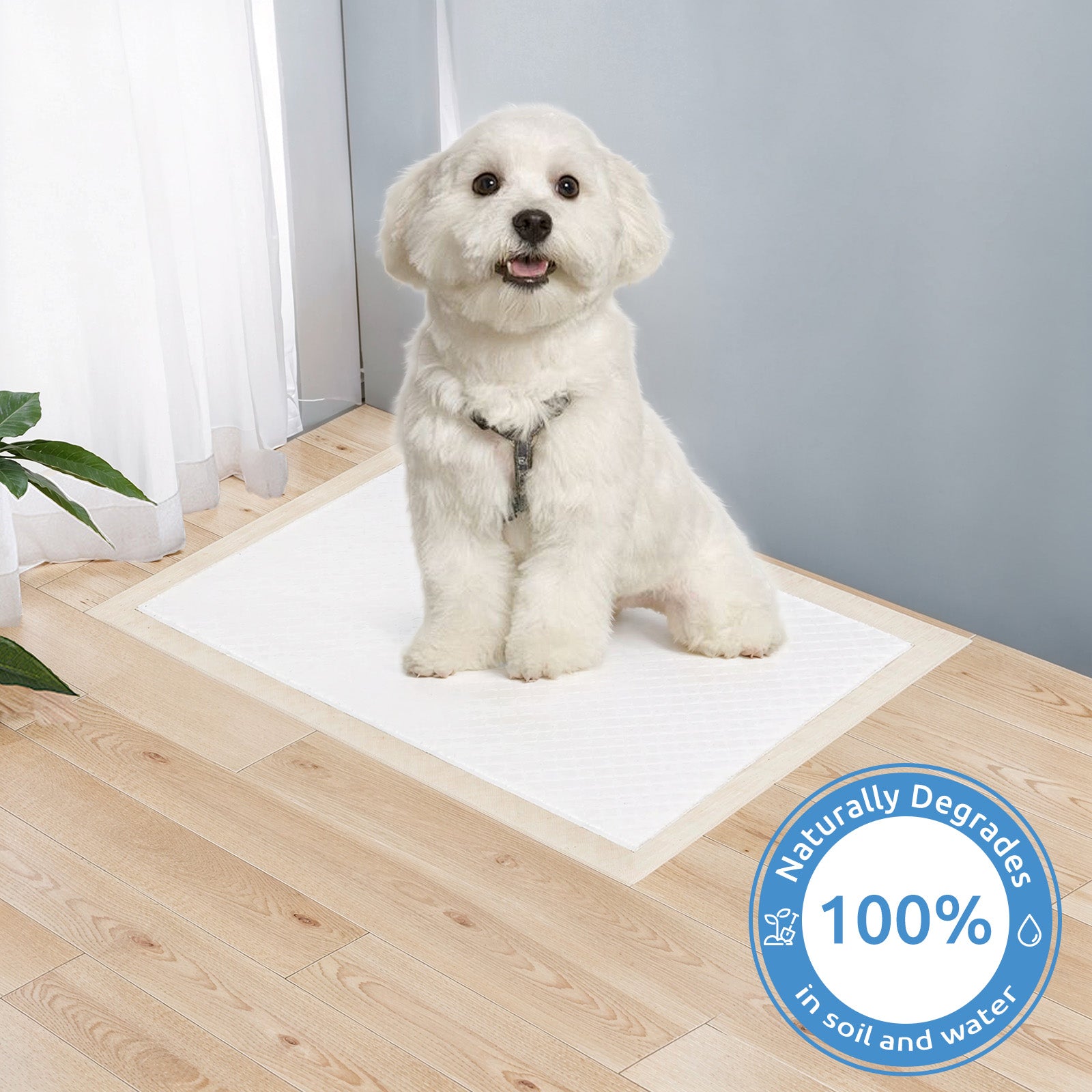 Biodegradable Pet Pee Pad