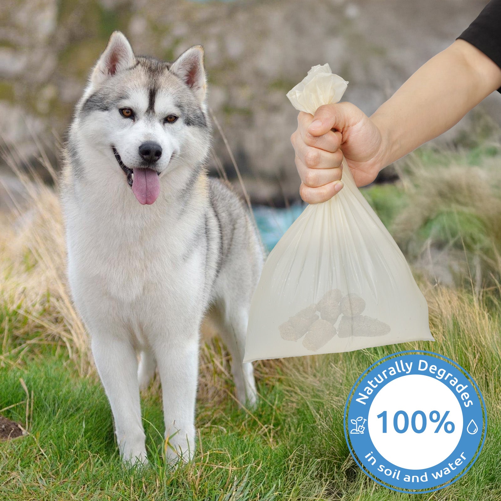 Biodegradable Waste Bag