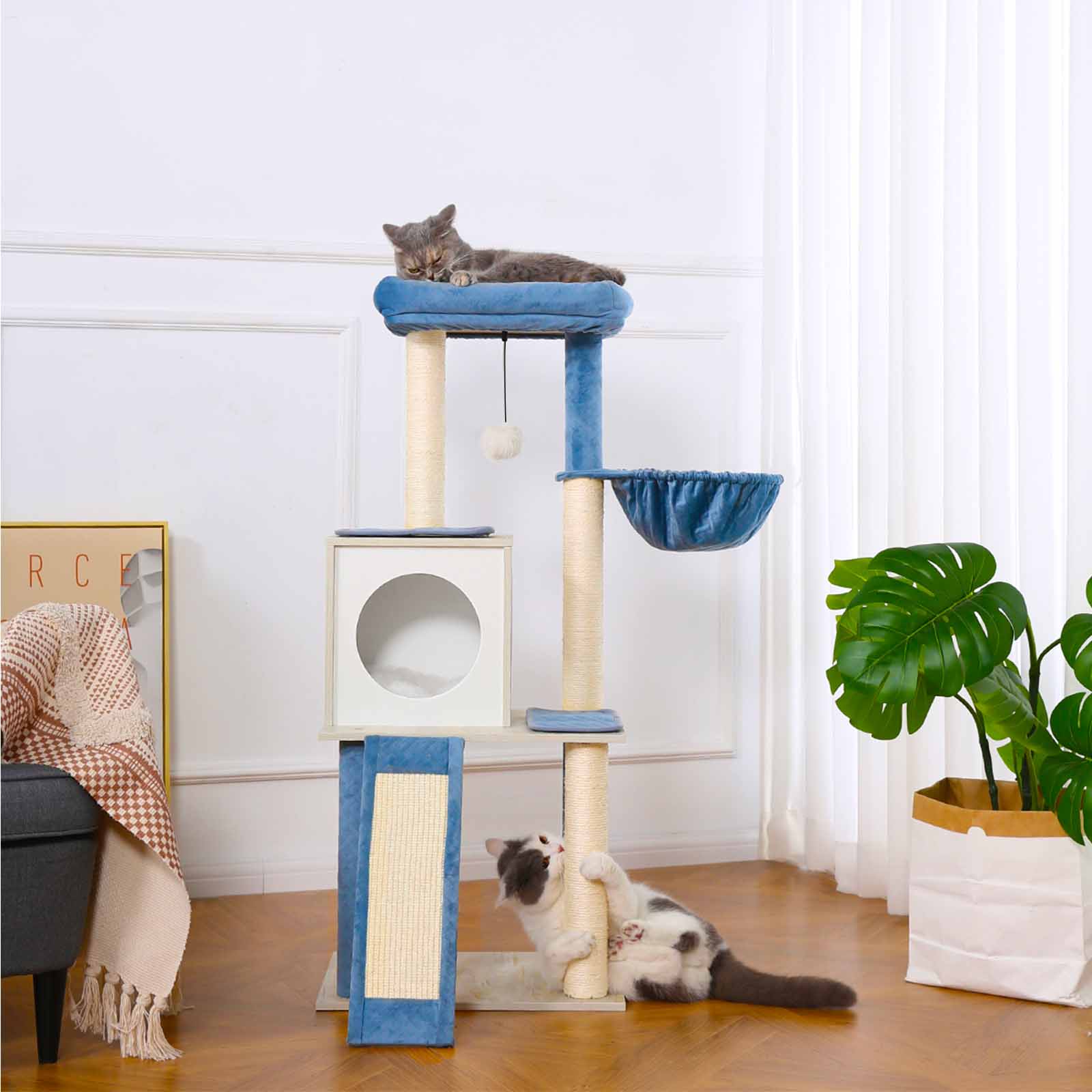 Teal cat outlet tree