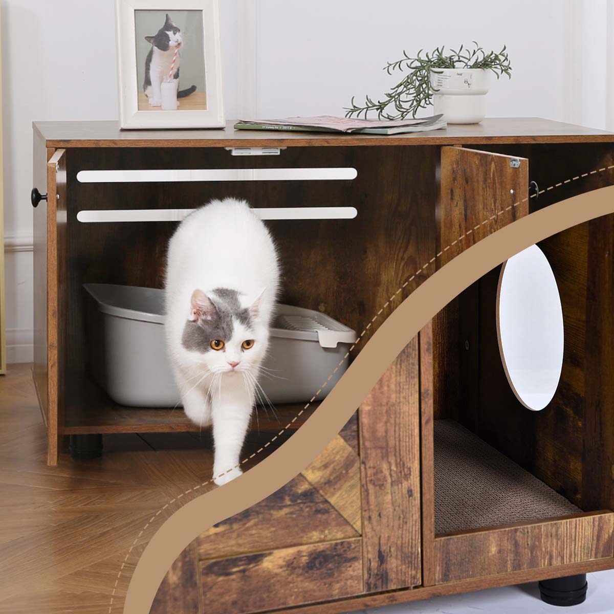 Jumbo cat outlet box